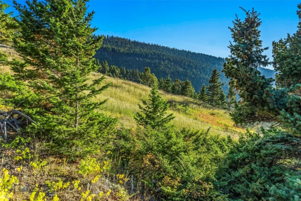NHN Coyote (lot 69) Drive, Livingston MT 59047