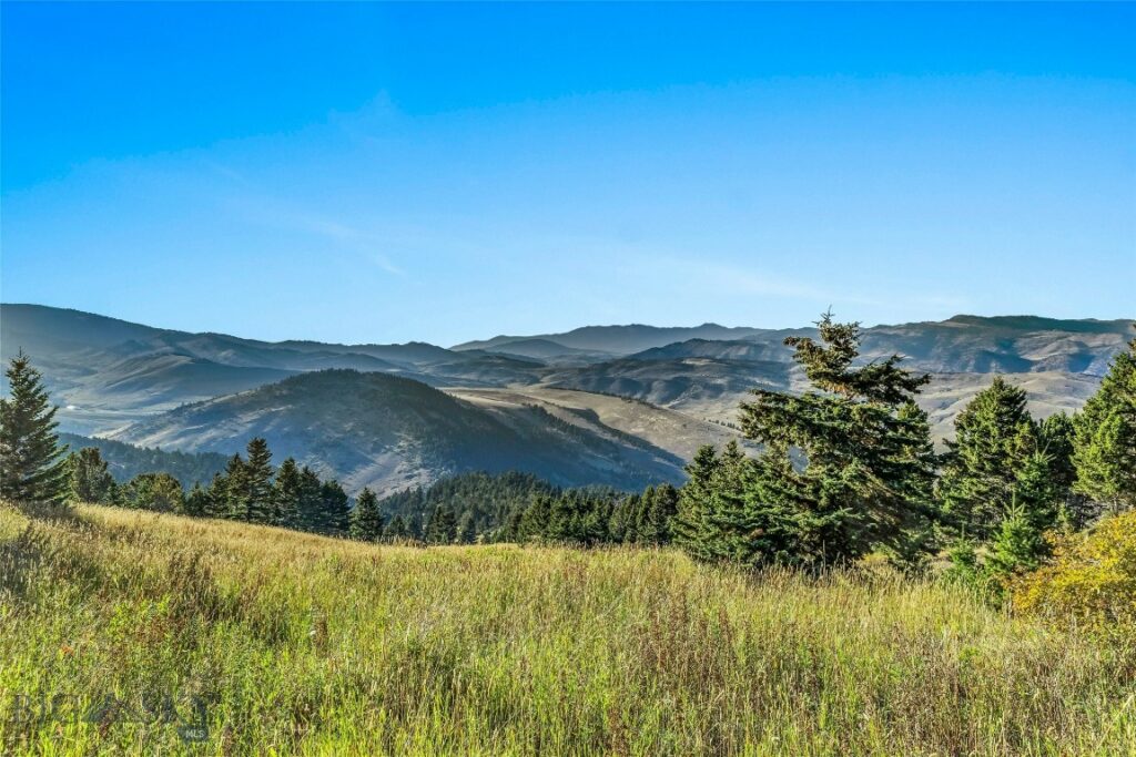 NHN Coyote (lot 69) Drive, Livingston MT 59047