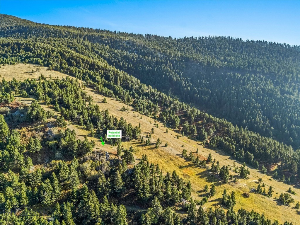 NHN Coyote (lot 69) Drive, Livingston MT 59047