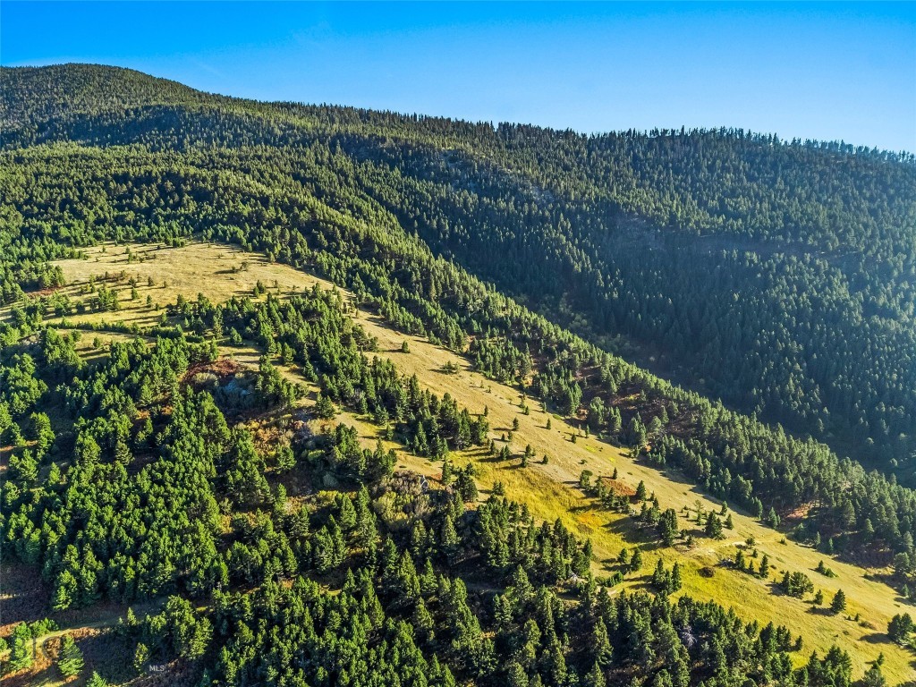 NHN Coyote (lot 69) Drive, Livingston MT 59047