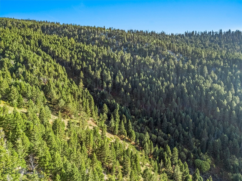 NHN Coyote (lot 69) Drive, Livingston MT 59047