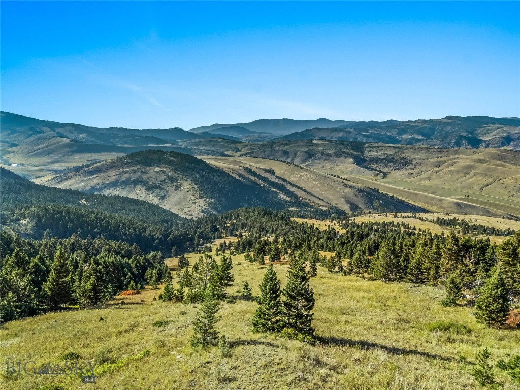 NHN Coyote (lot 69) Drive, Livingston MT 59047