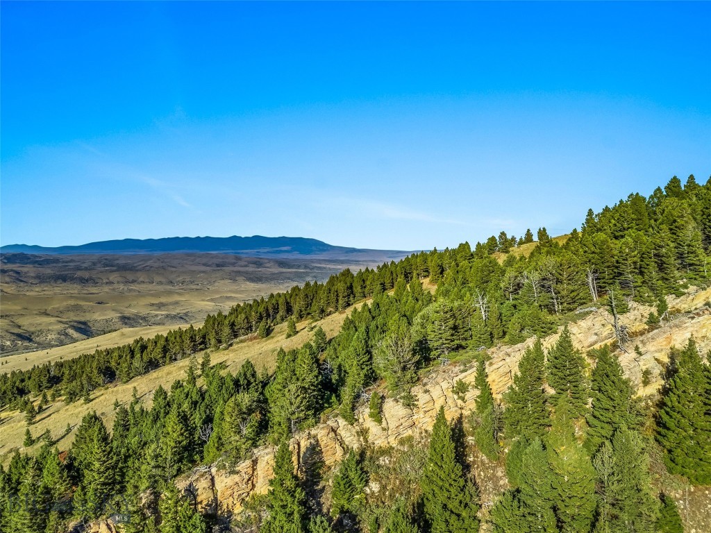 NHN Coyote (lot 69) Drive, Livingston MT 59047