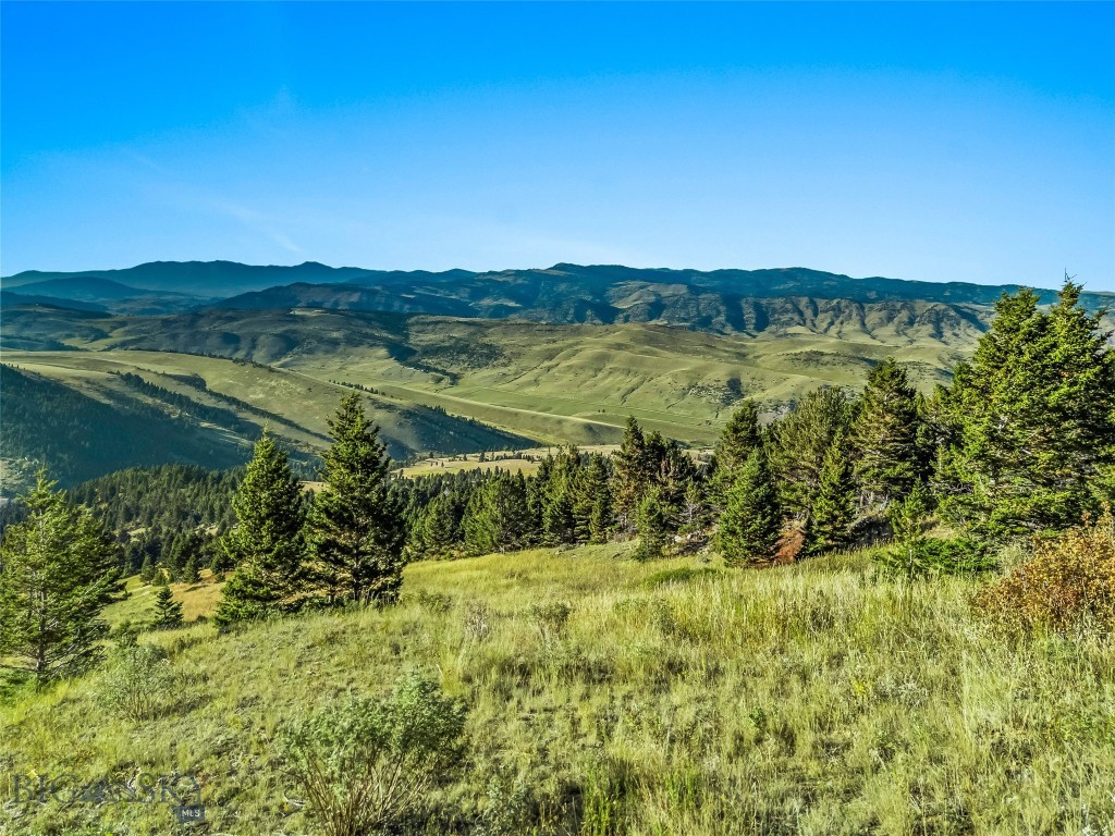 NHN Coyote (lot 69) Drive, Livingston MT 59047