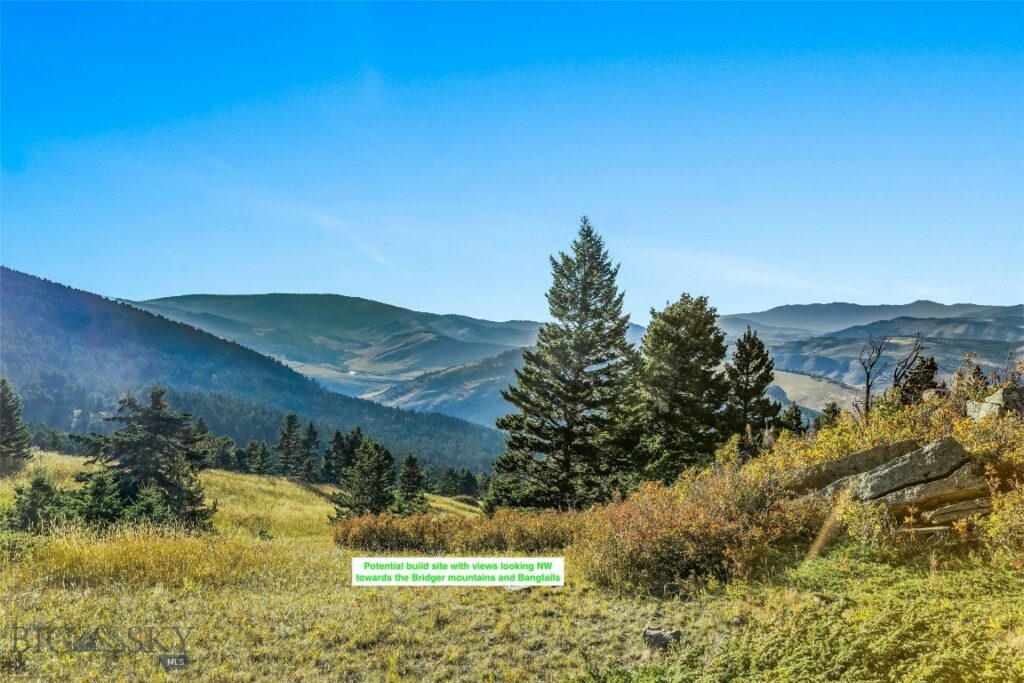 NHN Coyote (lot 69) Drive, Livingston MT 59047