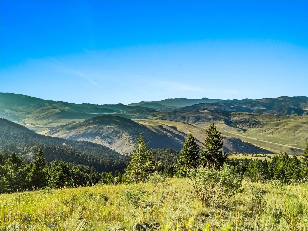 NHN Coyote (lot 69) Drive, Livingston MT 59047