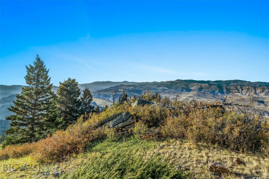 NHN Coyote (lot 69) Drive, Livingston MT 59047