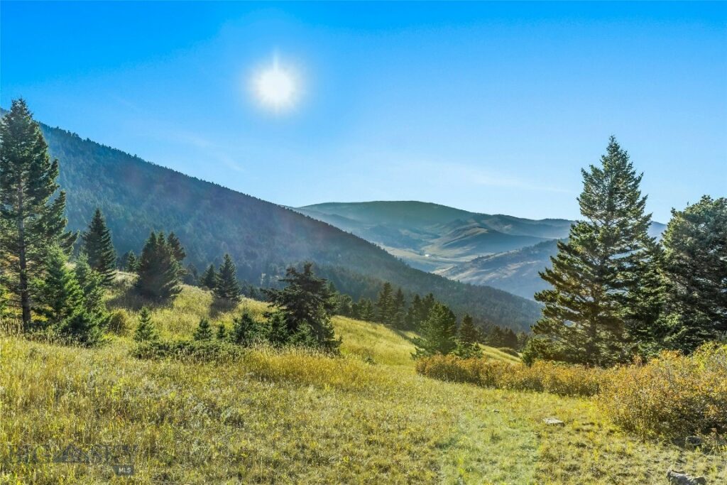 NHN Coyote (lot 69) Drive, Livingston MT 59047