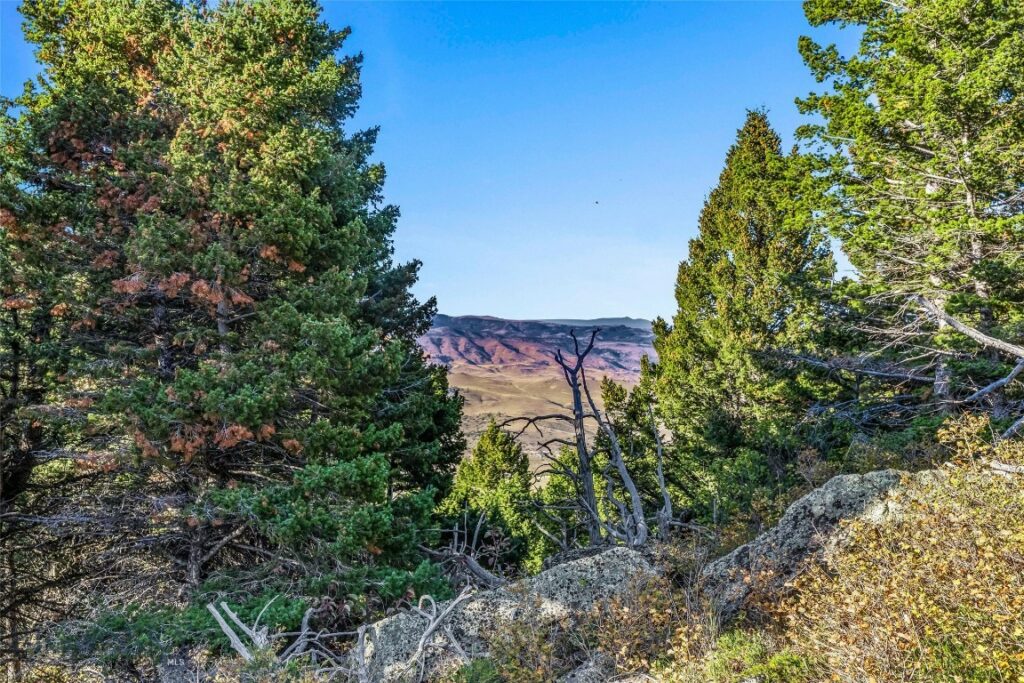 NHN Coyote (lot 69) Drive, Livingston MT 59047