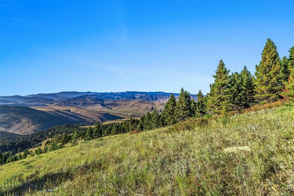 NHN Coyote (lot 69) Drive, Livingston MT 59047