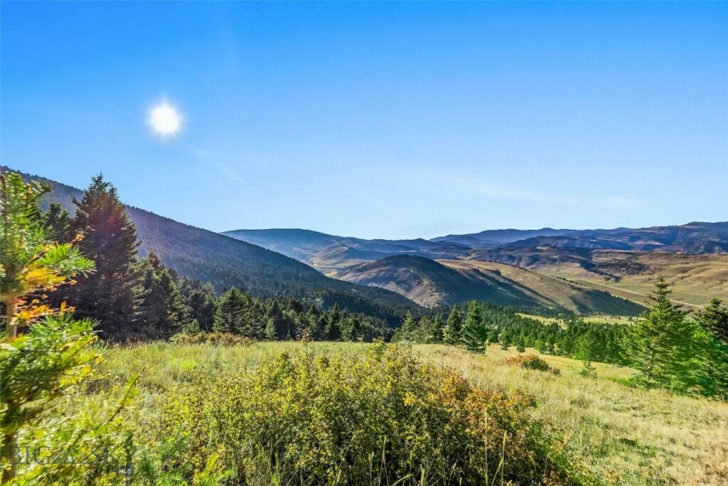 NHN Coyote (lot 69) Drive, Livingston MT 59047