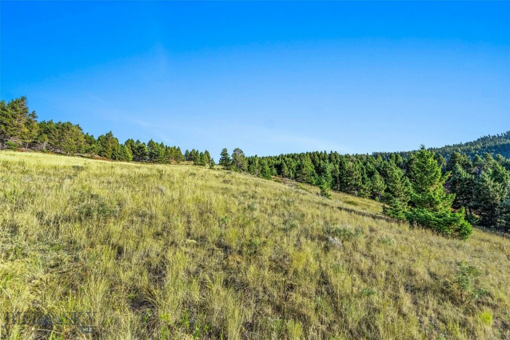 NHN Coyote (lot 69) Drive, Livingston MT 59047