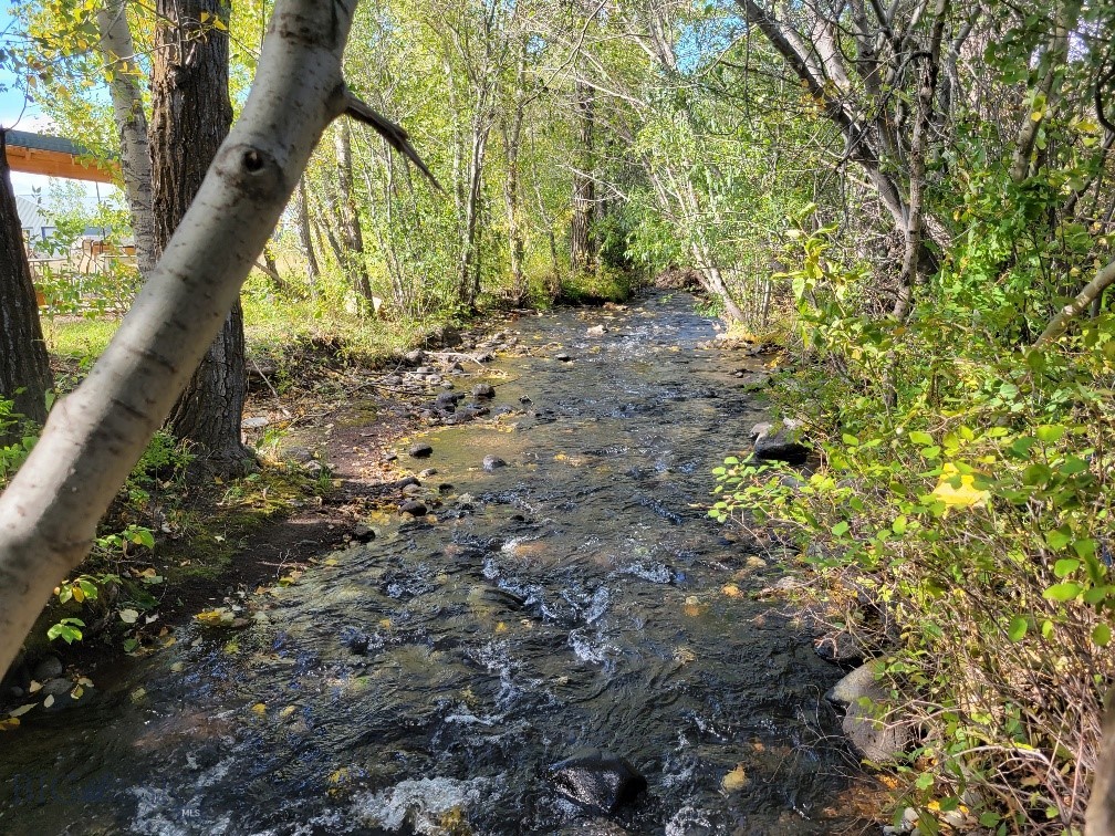 NHN Hyalite Canyon Road, Bozeman MT 59715