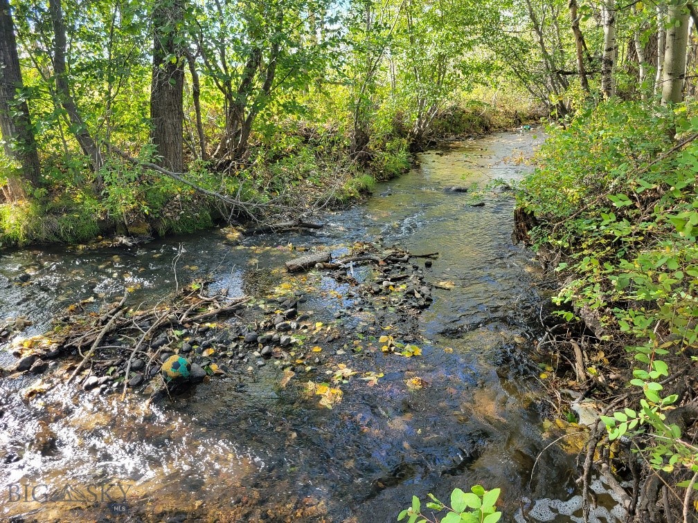 NHN Hyalite Canyon Road, Bozeman MT 59715