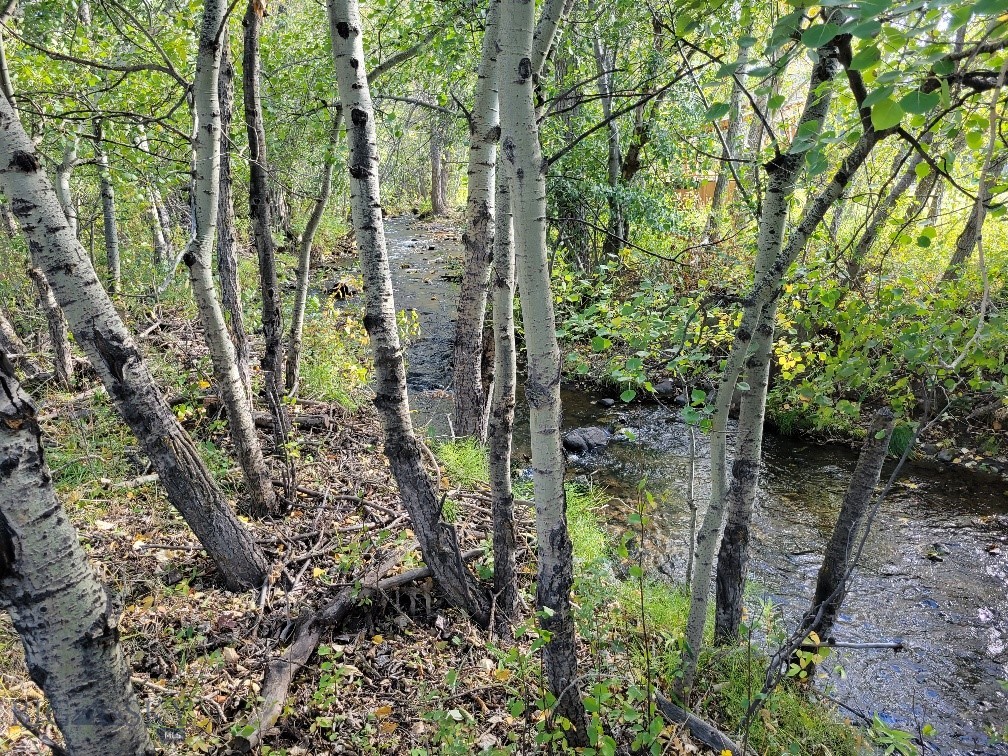 NHN Hyalite Canyon Road, Bozeman MT 59715