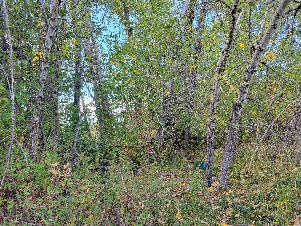NHN Hyalite Canyon Road, Bozeman MT 59715