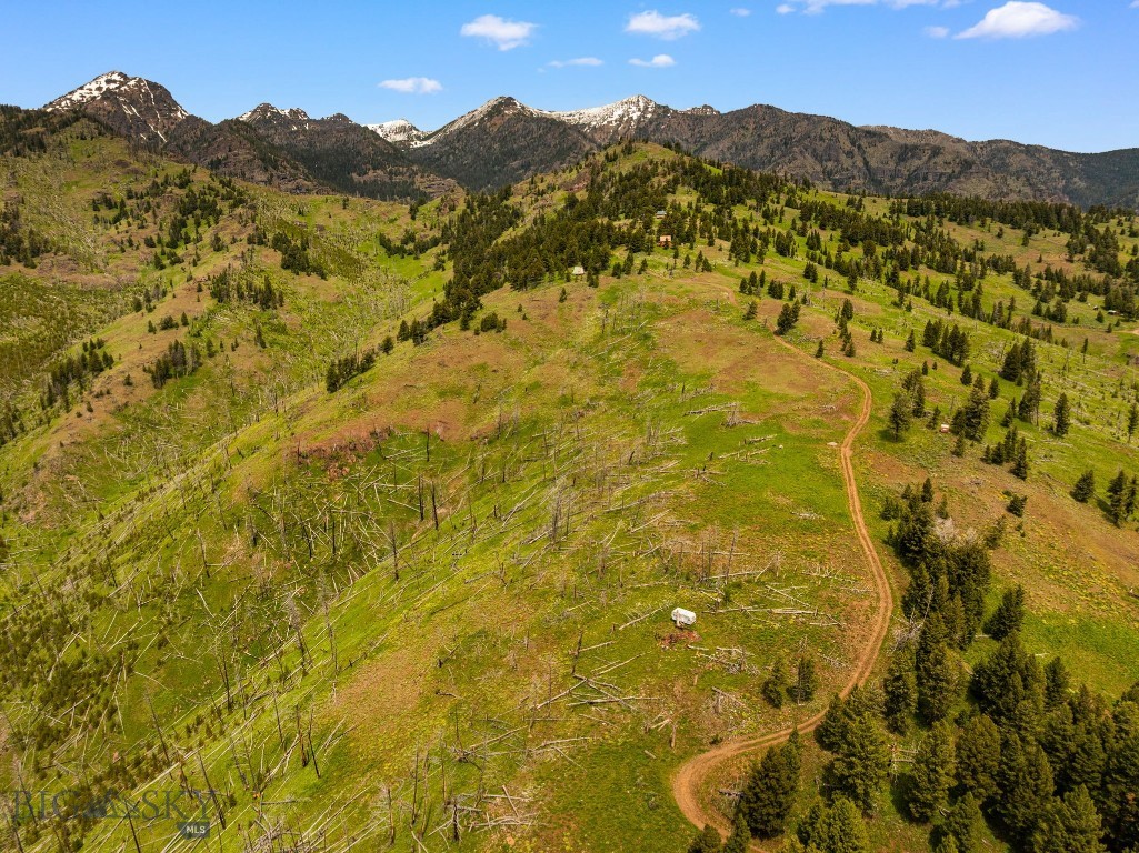 NHN Peak Point Drive, Livingston MT 59047