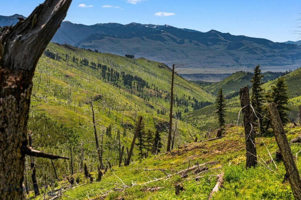 NHN Peak Point Drive, Livingston MT 59047