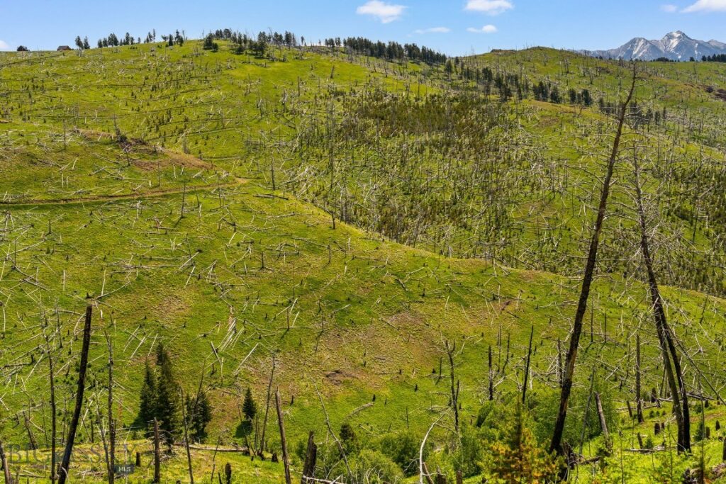 NHN Peak Point Drive, Livingston MT 59047