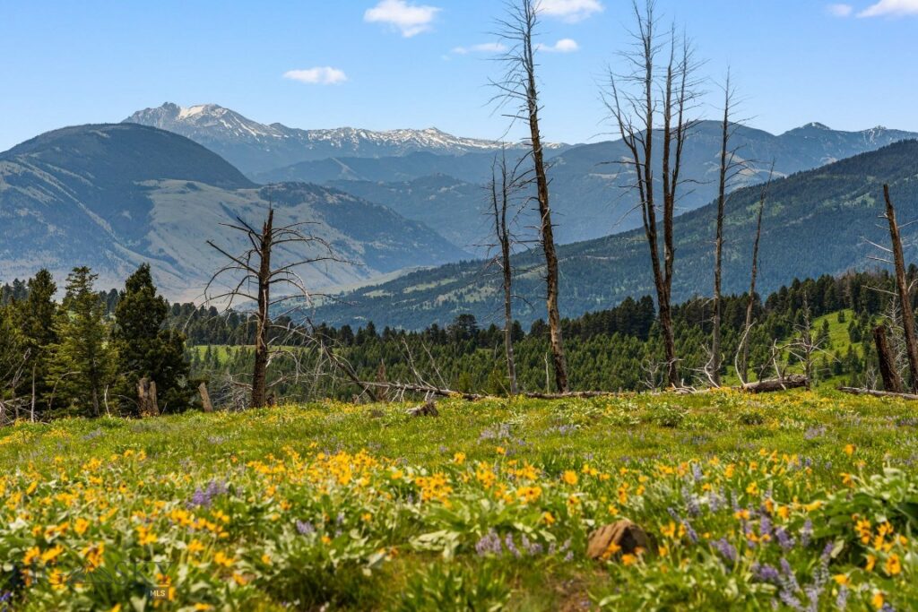 NHN Peak Point Drive, Livingston MT 59047