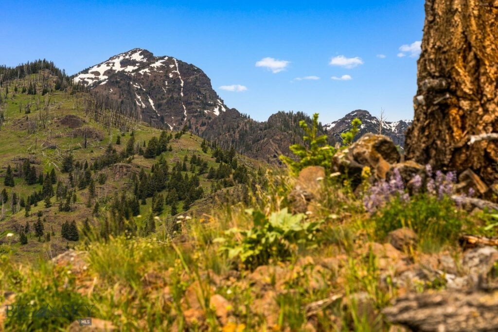 NHN Peak Point Drive, Livingston MT 59047