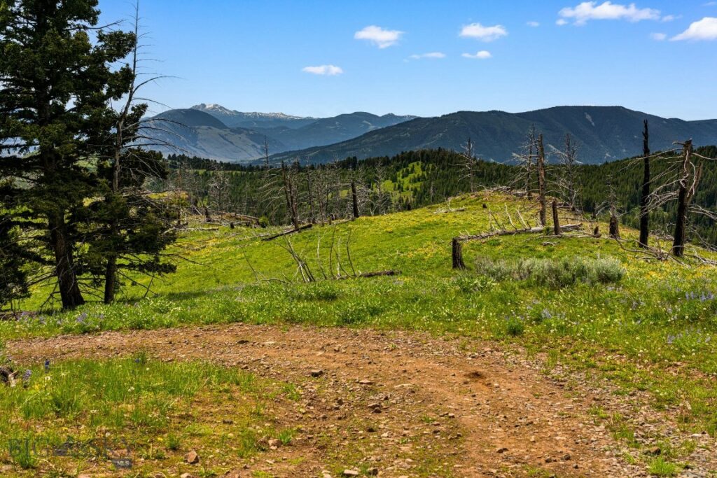 NHN Peak Point Drive, Livingston MT 59047