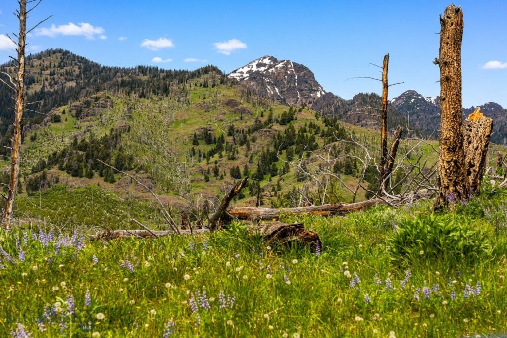 NHN Peak Point Drive, Livingston MT 59047