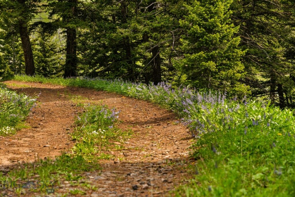 NHN Peak Point Drive, Livingston MT 59047