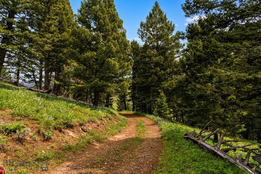 NHN Peak Point Drive, Livingston MT 59047