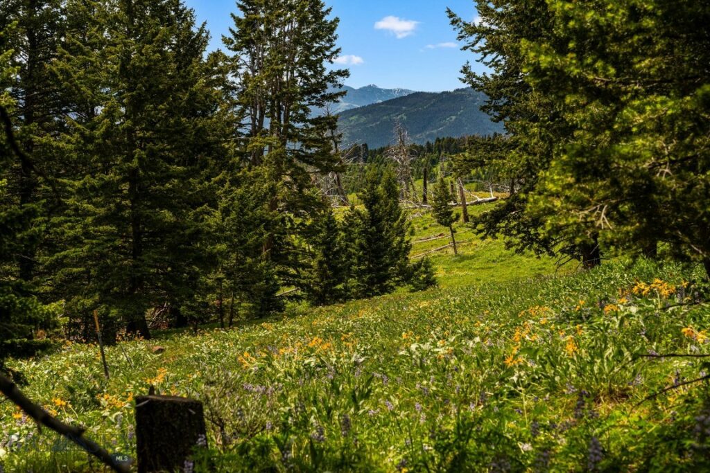 NHN Peak Point Drive, Livingston MT 59047