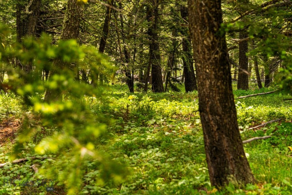 NHN Peak Point Drive, Livingston MT 59047