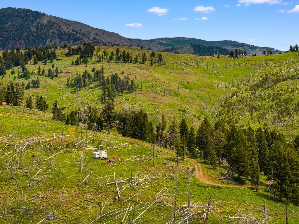 NHN Peak Point Drive, Livingston MT 59047