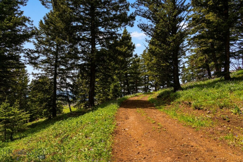 NHN Peak Point Drive, Livingston MT 59047