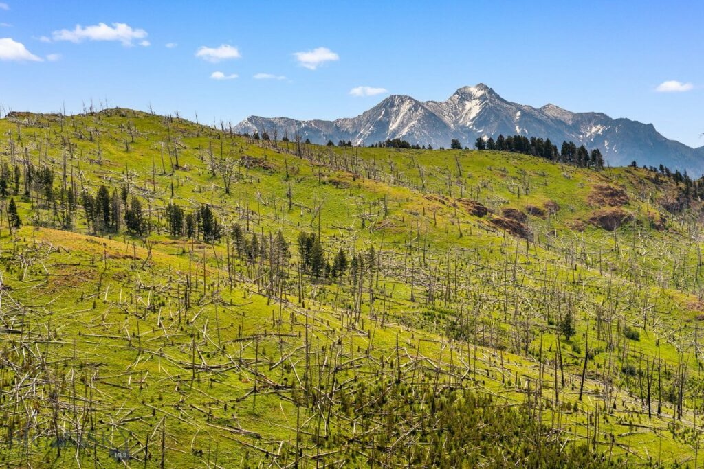 NHN Peak Point Drive, Livingston MT 59047