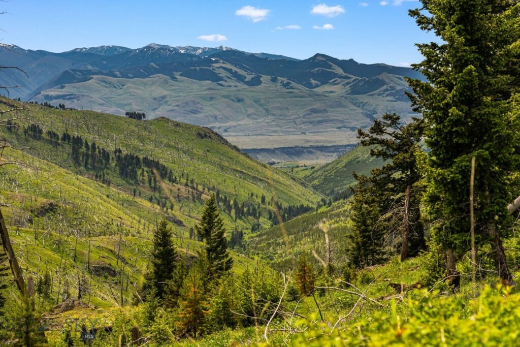 NHN Peak Point Drive, Livingston MT 59047