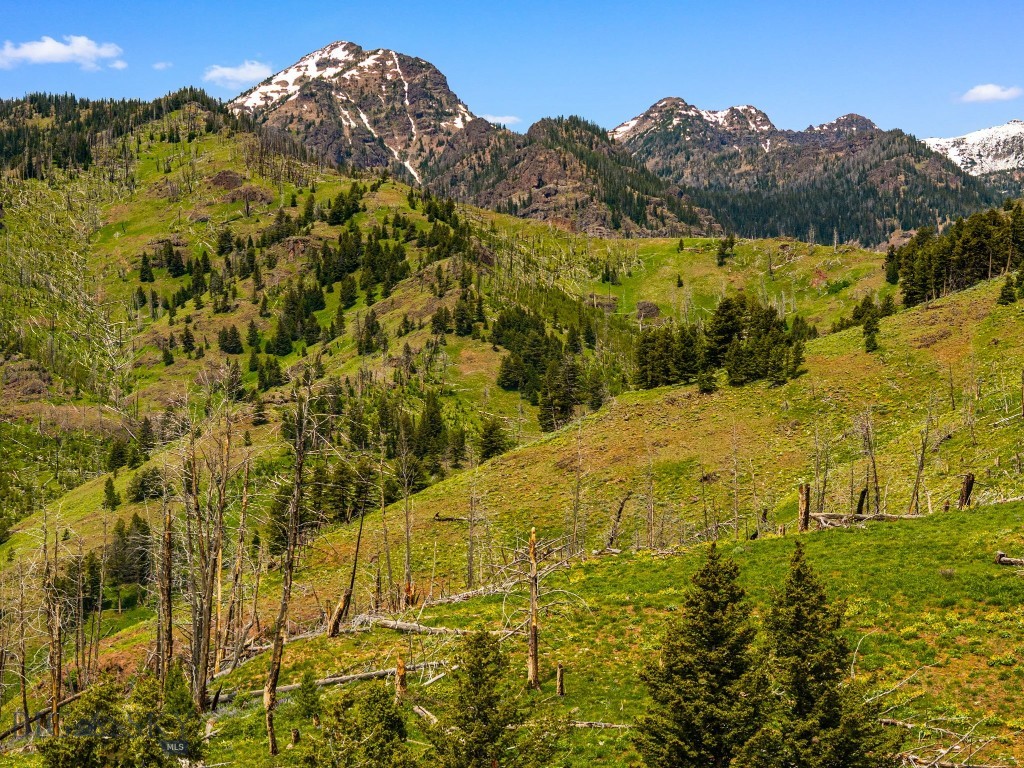 NHN Peak Point Drive, Livingston MT 59047