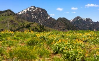 NHN Peak Point Drive, Livingston MT 59047