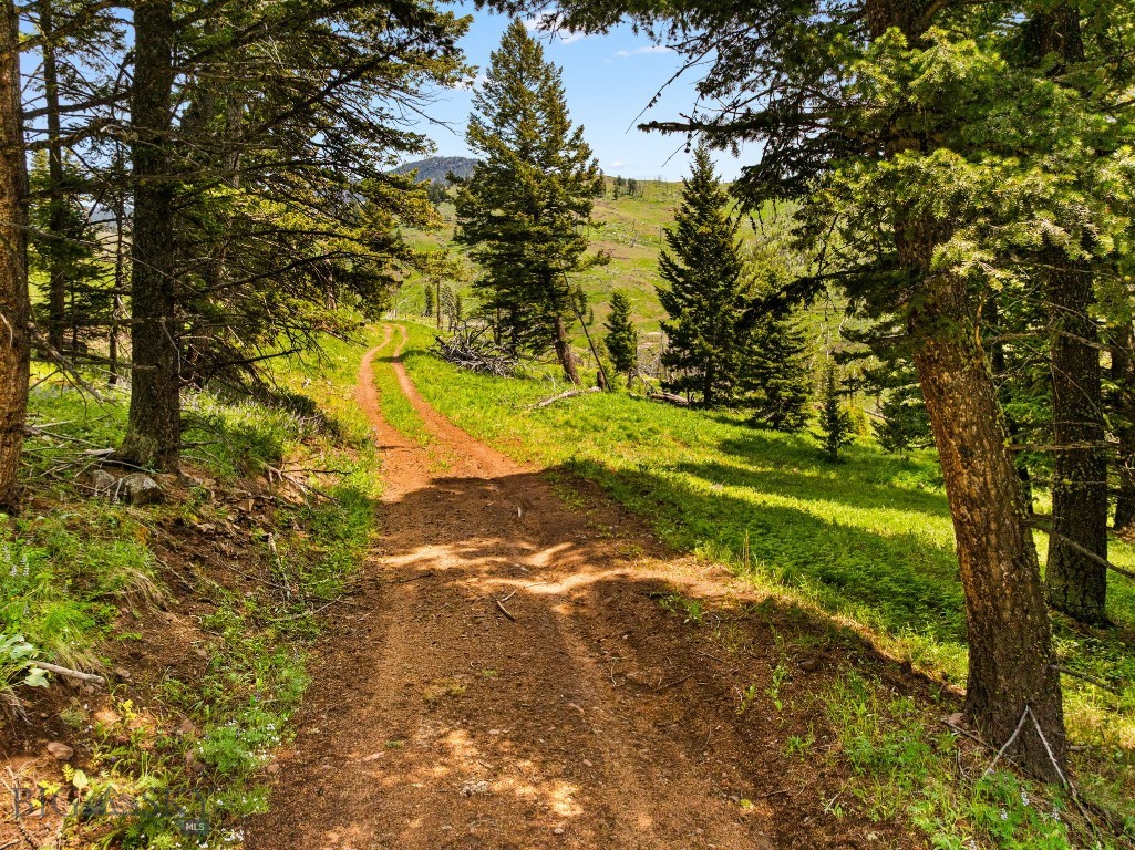 NHN Peak Point Drive, Livingston MT 59047