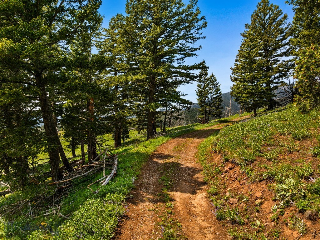 NHN Peak Point Drive, Livingston MT 59047