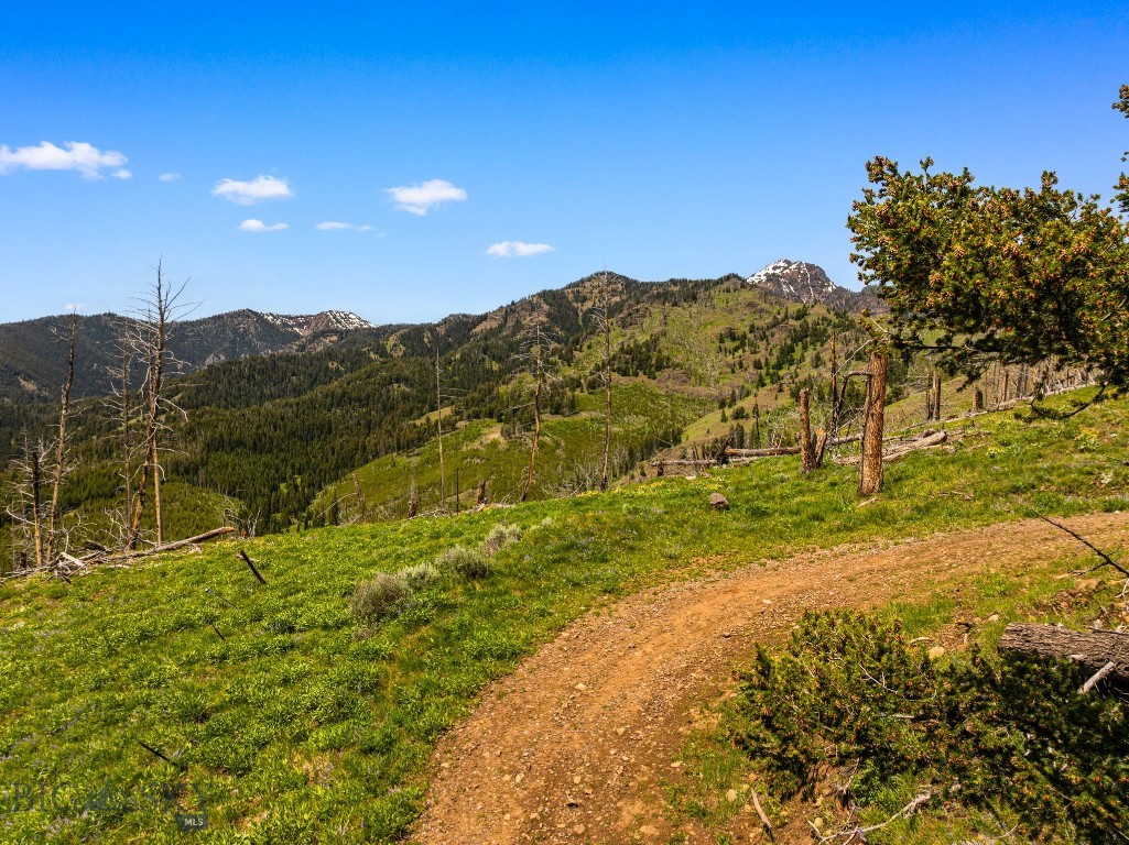 NHN Peak Point Drive, Livingston MT 59047