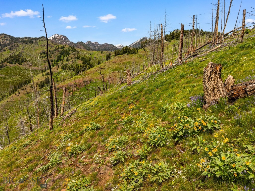 NHN Peak Point Drive, Livingston MT 59047