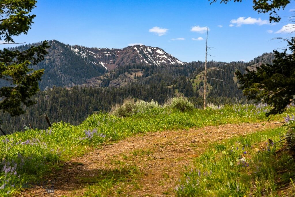 NHN Peak Point Drive, Livingston MT 59047