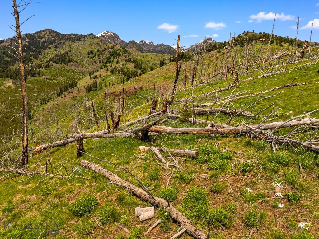 NHN Peak Point Drive, Livingston MT 59047
