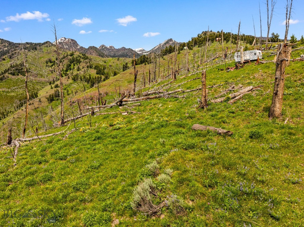 NHN Peak Point Drive, Livingston MT 59047