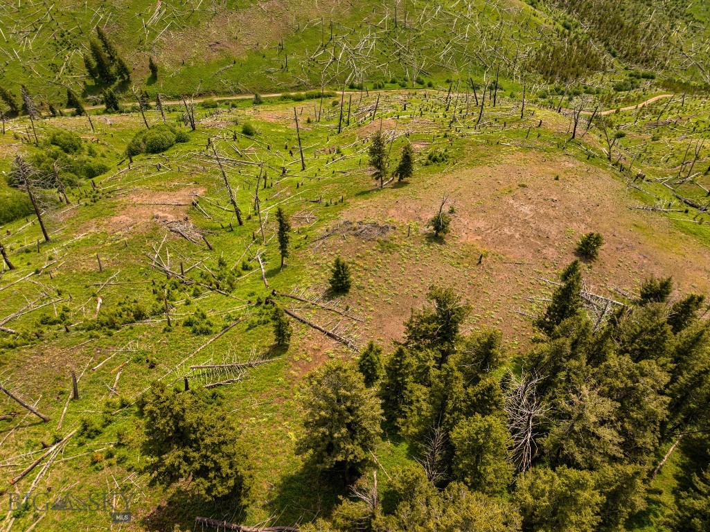NHN Peak Point Drive, Livingston MT 59047