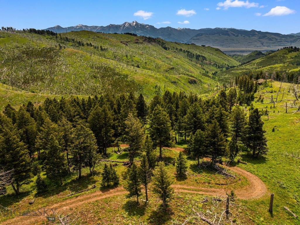 NHN Peak Point Drive, Livingston MT 59047