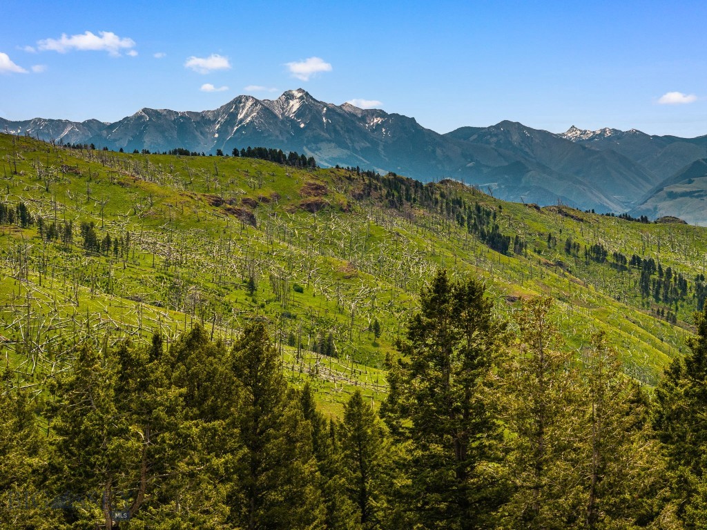 NHN Peak Point Drive, Livingston MT 59047