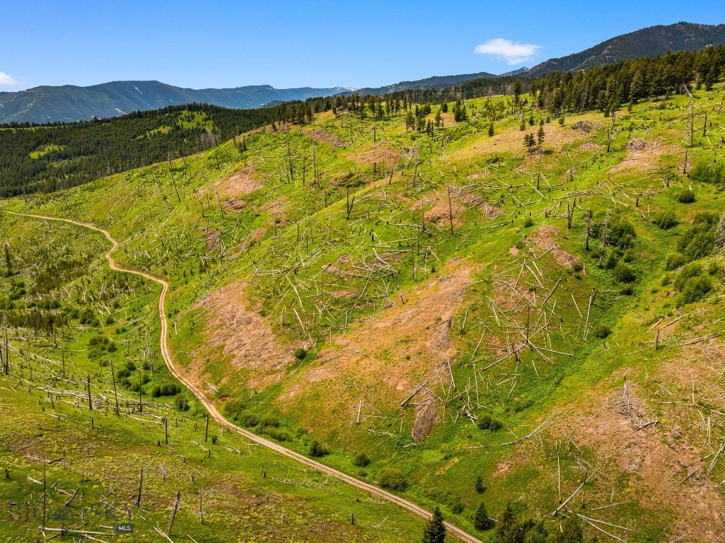 NHN Peak Point Drive, Livingston MT 59047