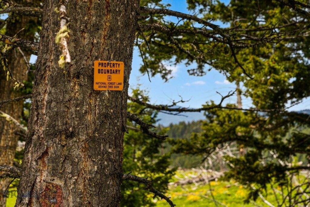 NHN Peak Point Drive, Livingston MT 59047