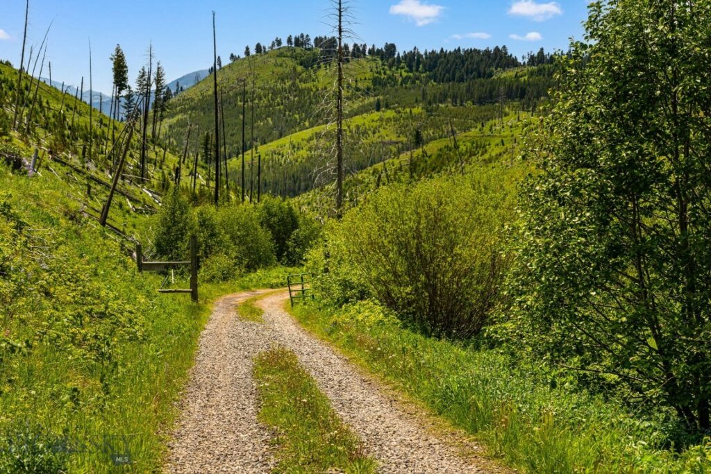 NHN Peak Point Drive, Livingston MT 59047